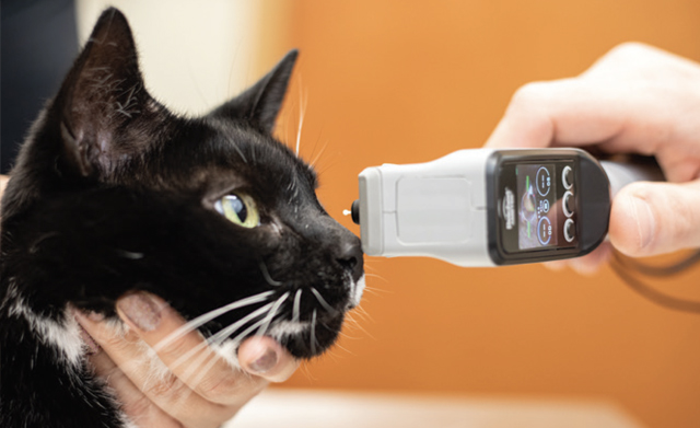 Tono-Vera® Vet Veterinary Handheld Tonometer - Reichert Technologies ...
